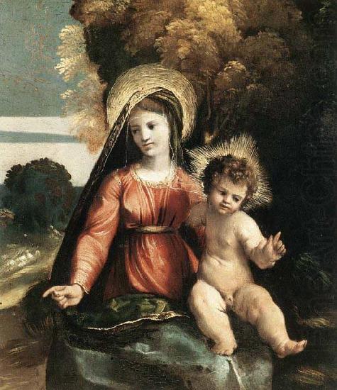 Dosso Dossi Madonna and Child china oil painting image